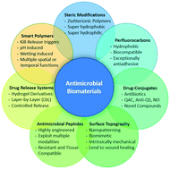 Graphical abstract: Connecting molecular mechanisms of biofilm formation and functional biomaterials