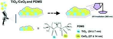 Graphical abstract: Pigmented self-cleaning coatings with enhanced UV resilience via the limitation of photocatalytic activity and its effects