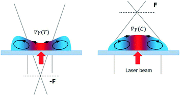 Graphical abstract: Biomimetic liquid lenses actuated by a laser beam: effects of evaporation and orientation to gravity