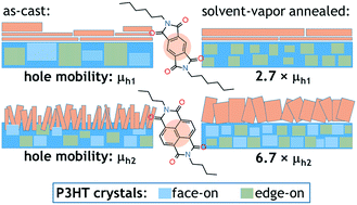 Graphical abstract: Recrystallization upon solvent vapor annealing and impact of polymer crystallinity on hole transport in poly(3-hexylthiophene):small molecule blends