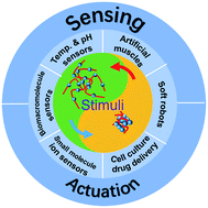 Graphical abstract: Recent advances in stimuli-responsive polymers for sensing and actuation