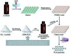 Graphical abstract: Approach to tune drug release in particles fabricated from methacrylate functionalized polylactides