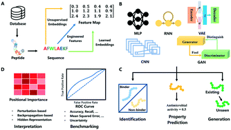 Graphical abstract: Sequence-based peptide identification, generation, and property prediction with deep learning: a review
