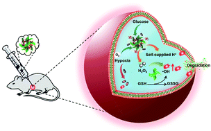 Graphical abstract: Glucose-responsive cascaded nanocatalytic reactor with self-modulation of the tumor microenvironment for enhanced chemo-catalytic therapy