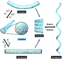 Graphical abstract: Liquid metal gradient fibers with reversible thermal programmability