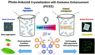 Graphical abstract: Photo-induced crystallization with emission enhancement (PICEE)