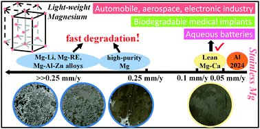 Graphical abstract: Approaching “stainless magnesium” by Ca micro-alloying