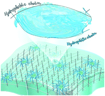 Graphical abstract: Superior water anchoring hydrogel validated by colorimetric sensing