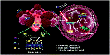Graphical abstract: Single nanosheet can sustainably generate oxygen and inhibit respiration simultaneously in cancer cells