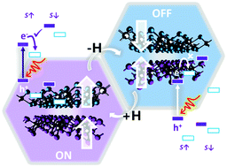 Graphical abstract: Spin-constrained optoelectronic functionality in two-dimensional ferromagnetic semiconductor heterojunctions