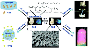 Graphical abstract: In situ formed thermogelable hydrogel photonic crystals assembled by thermosensitive IPNs