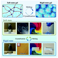 Graphical abstract: Phase change mediated mechanically transformative dynamic gel for intelligent control of versatile devices