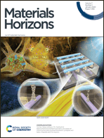 Graphical abstract: Front cover