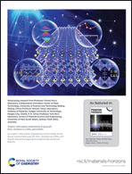 Graphical abstract: Back cover