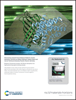 Graphical abstract: Back cover