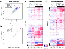 Graphical abstract: MetaboKit: a comprehensive data extraction tool for untargeted metabolomics