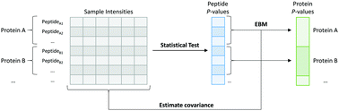 Graphical abstract: Detecting differential protein abundance by combining peptide level P-values