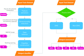 Graphical abstract: iDHS-DASTS: identifying DNase I hypersensitive sites based on LASSO and stacking learning