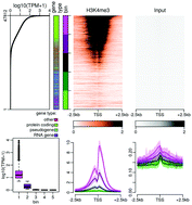 Graphical abstract: Comprehensive analysis of epigenetic signatures of human transcription control