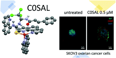 Graphical abstract: The first copper(ii) complex with 1,10-phenanthroline and salubrinal with interesting biochemical properties