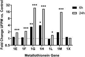 Graphical abstract: Upregulation of epithelial metallothioneins by metal-rich ultrafine particulate matter from an underground railway