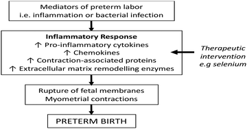 Graphical abstract: In vitro selenium supplementation suppresses key mediators involved in myometrial activation and rupture of fetal membranes