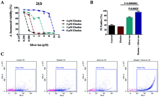 Graphical abstract: Synergistic therapeutic efficacy of ebselen and silver ions against multidrug-resistant Acinetobacter baumannii-induced urinary tract infections