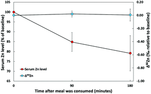 Graphical abstract: Postprandial zinc stable isotope response in human blood serum