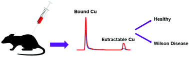Graphical abstract: LC-ICP-MS method for the determination of “extractable copper” in serum