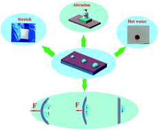 Graphical abstract: Mechanically durable and long-term repairable flexible lubricant-infused monomer for enhancing water collection efficiency by manipulating droplet coalescence and sliding