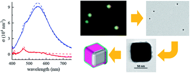 Graphical abstract: Quantitative optical microspectroscopy, electron microscopy, and modelling of individual silver nanocubes reveal surface compositional changes at the nanoscale