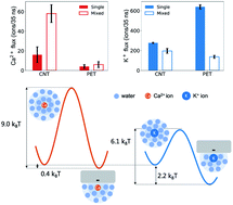 Graphical abstract: The mixture effect on ionic selectivity and permeability of nanotubes