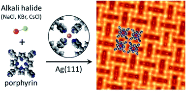 Graphical abstract: Fine-tuning of two-dimensional metal–organic nanostructures via alkali–pyridyl coordination