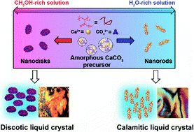 Graphical abstract: Bioinspired selective synthesis of liquid-crystalline nanocomposites: formation of calcium carbonate-based composite nanodisks and nanorods