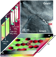 Graphical abstract: Assessing the role of plasma-engineered acceptor-like intra- and inter-grain boundaries of heterogeneous WS2–WO3 nanosheets for photocurrent characteristics
