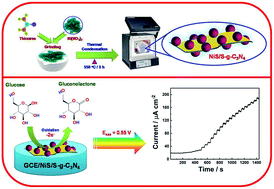 Graphical abstract: Nickel sulfide-incorporated sulfur-doped graphitic carbon nitride nanohybrid interface for non-enzymatic electrochemical sensing of glucose