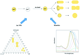 Graphical abstract: Tuning and tracking the growth of gold nanoparticles synthesized using binary surfactant mixtures