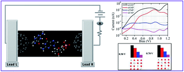 Graphical abstract: Functionalized carbon nanotube electrodes for controlled DNA sequencing