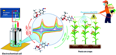 Graphical abstract: A La3+-doped TiO2 nanoparticle decorated functionalized-MWCNT catalyst: novel electrochemical non-enzymatic sensing of paraoxon-ethyl