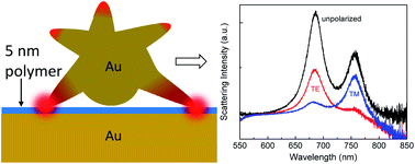 Graphical abstract: Small mode volume plasmonic film-coupled nanostar resonators