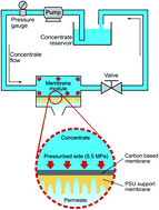 Graphical abstract: Enhanced desalination performance in compacted carbon-based reverse osmosis membranes