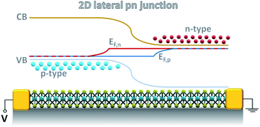 Graphical abstract: 2D pn junctions driven out-of-equilibrium