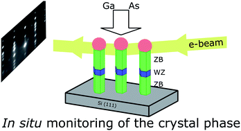 Graphical abstract: Crystal phase engineering of self-catalyzed GaAs nanowires using a RHEED diagram