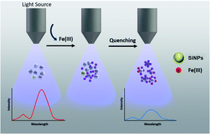 Graphical abstract: Facile green synthesis of silicon nanoparticles from Equisetum arvense for fluorescence based detection of Fe(iii) ions