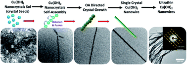 Graphical abstract: Fabrication of ultrathin CuO nanowires augmenting oriented attachment crystal growth directed self-assembly of Cu(OH)2 colloidal nanocrystals
