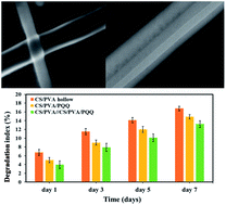 Graphical abstract: Coaxial nanofibers outperform uniaxial nanofibers for the loading and release of pyrroloquinoline quinone (PQQ) for biomedical applications