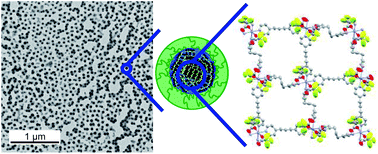 Graphical abstract: Synthesis of Zn-based 1D and 2D coordination polymer nanoparticles in block copolymer micelles