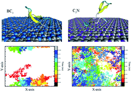 Graphical abstract: Tuning the binding behaviors of a protein YAP65WW domain on graphenic nano-sheets with boron or nitrogen atom doping