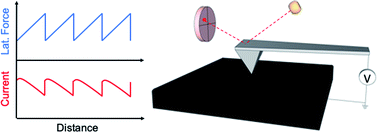 Graphical abstract: Insights into dynamic sliding contacts from conductive atomic force microscopy