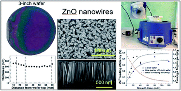 Graphical abstract: Facile, wafer-scale compatible growth of ZnO nanowires via chemical bath deposition: assessment of zinc ion contribution and other limiting factors